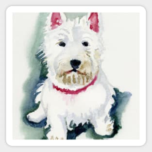 West Highland White Terrier Watercolor Painting - Dog Lover Gifts Sticker